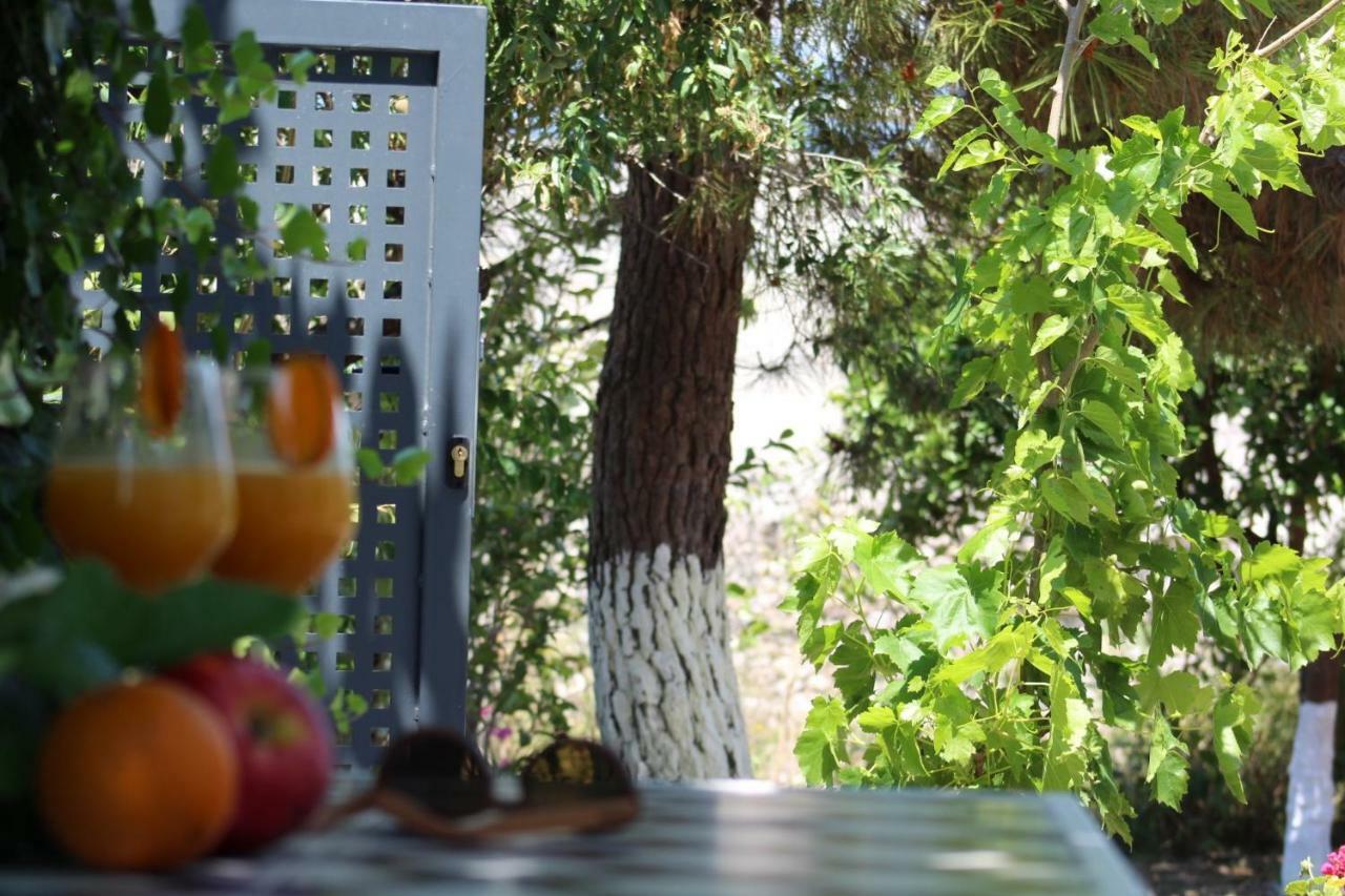 Orange Garden Villa Aigio Exterior photo